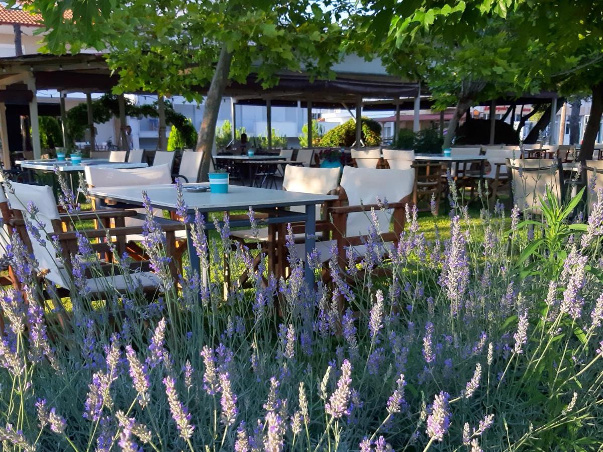 Kochyli Beach Studios Νέα Πλάγια Εξωτερικό φωτογραφία